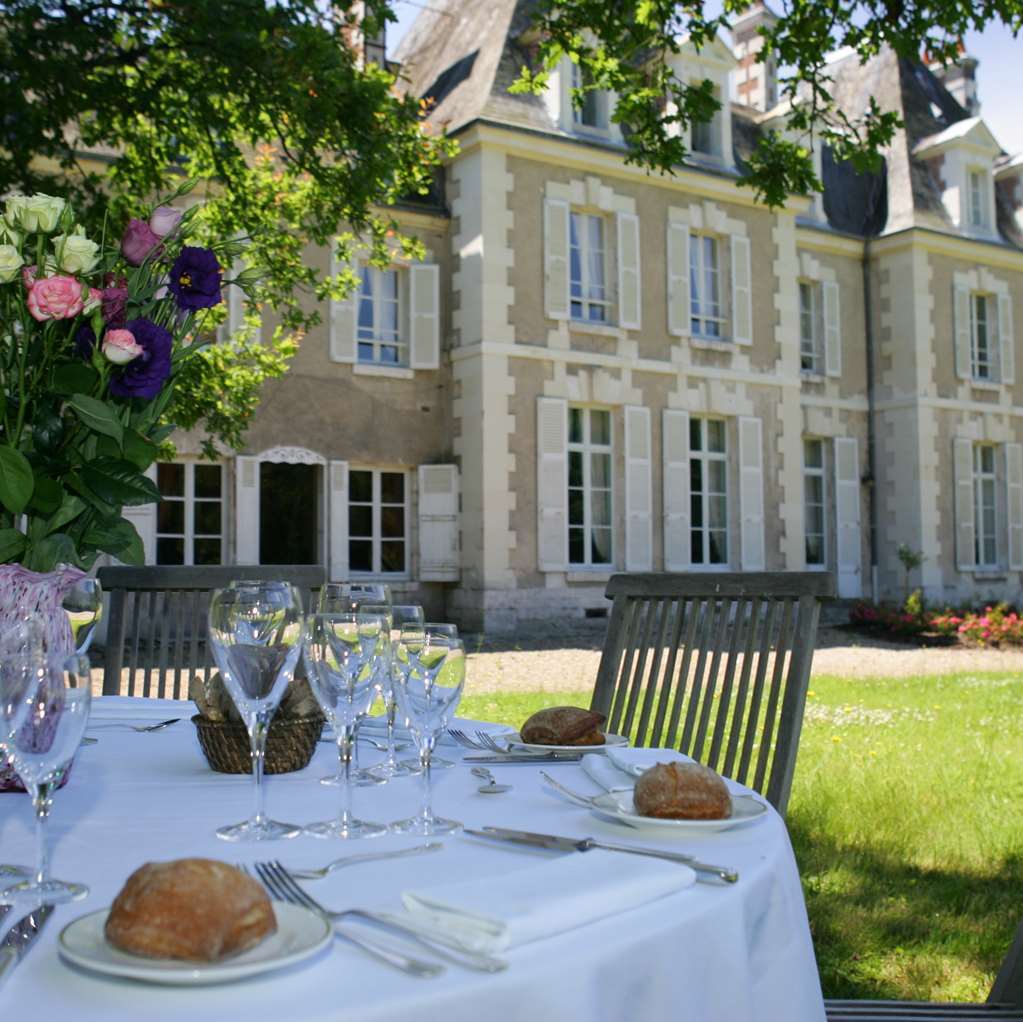 Chateau Du Breuil Cheverny Exterior foto